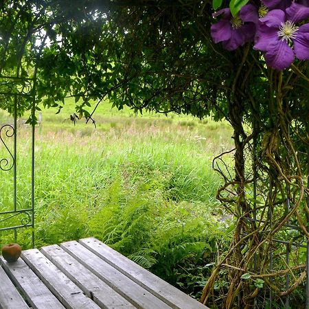 The Cottage Blackwood  Eksteriør bilde